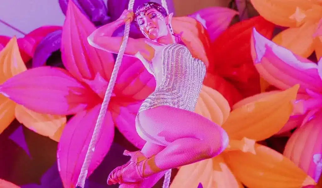 AERIALIST PERFORMER