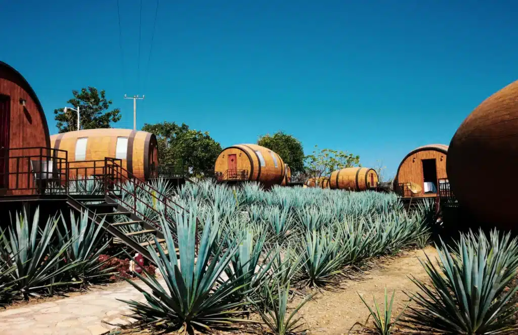 Tequila Storage
