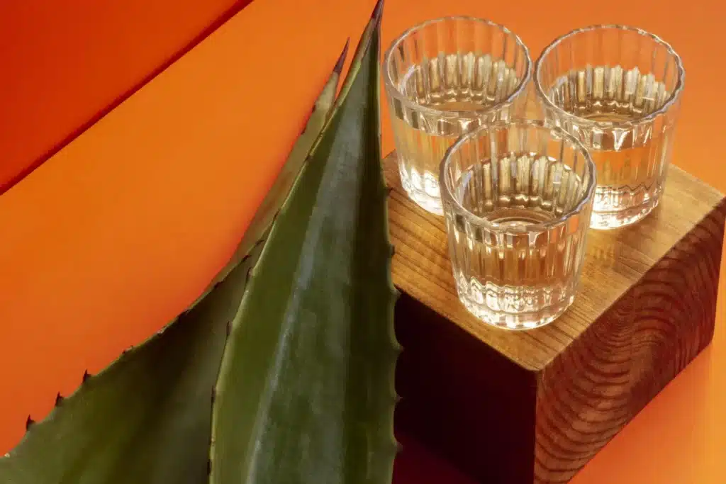 Delicious mezcal alcoholic beverage assortment